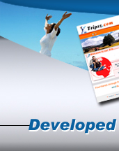 search engine optimization company