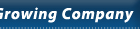 Outsourcing: custom software development