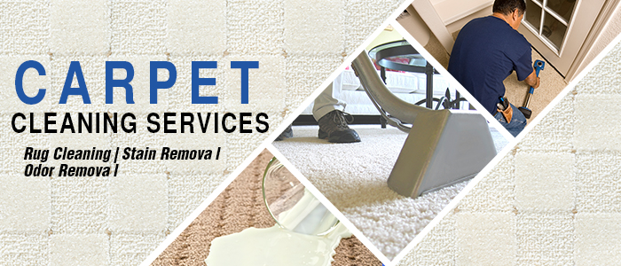 Best Carpet Cleaning